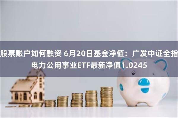 股票账户如何融资 6月20日基金净值：广发中证全指电力公用事业ETF最新净值1.0245