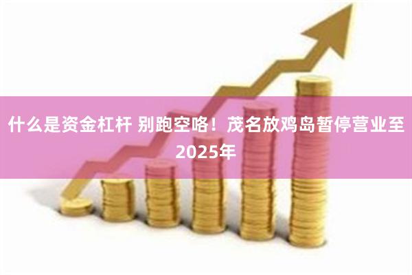 什么是资金杠杆 别跑空咯！茂名放鸡岛暂停营业至2025年