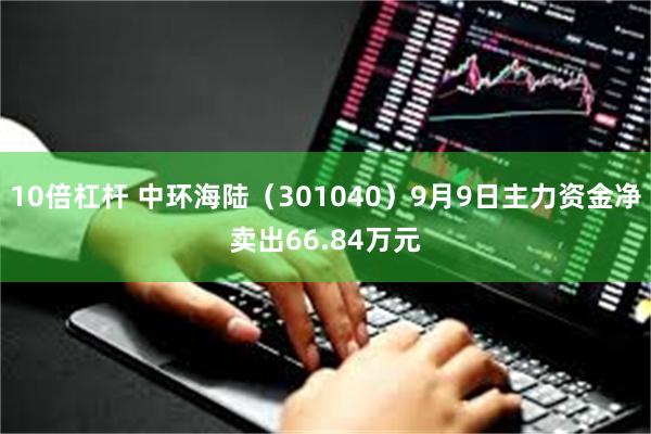 10倍杠杆 中环海陆（301040）9月9日主力资金净卖出66.84万元