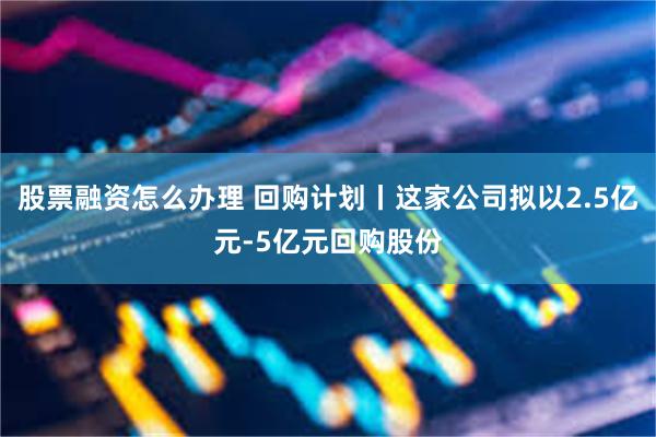 股票融资怎么办理 回购计划丨这家公司拟以2.5亿元-5亿元回购股份