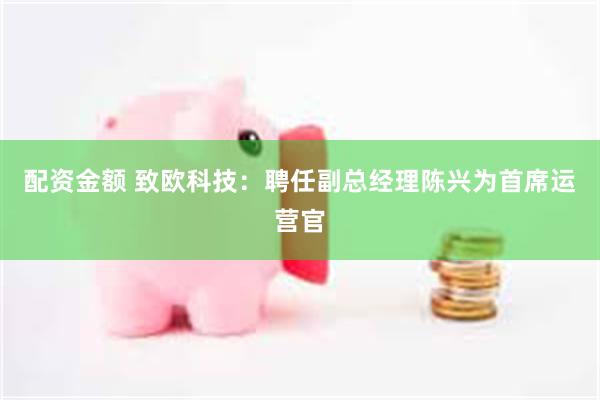 配资金额 致欧科技：聘任副总经理陈兴为首席运营官