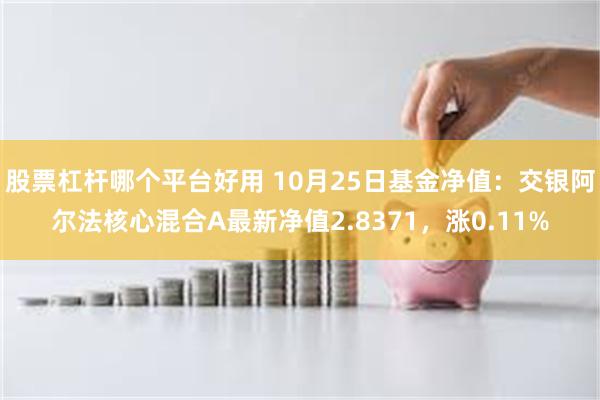 股票杠杆哪个平台好用 10月25日基金净值：交银阿尔法核心混合A最新净值2.8371，涨0.11%