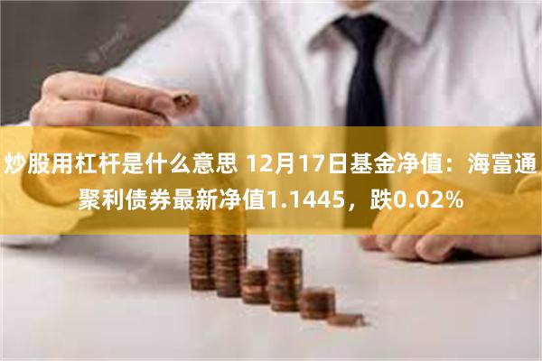 炒股用杠杆是什么意思 12月17日基金净值：海富通聚利债券最新净值1.1445，跌0.02%