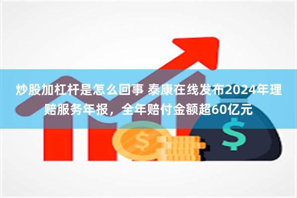 炒股加杠杆是怎么回事 泰康在线发布2024年理赔服务年报，全年赔付金额超60亿元